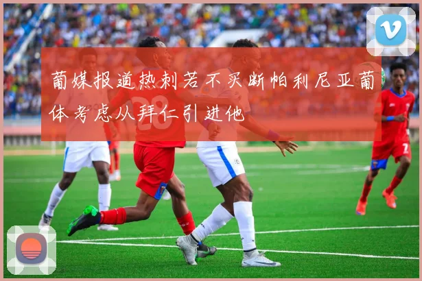 葡媒报道热刺若不买断帕利尼亚葡体考虑从拜仁引进他