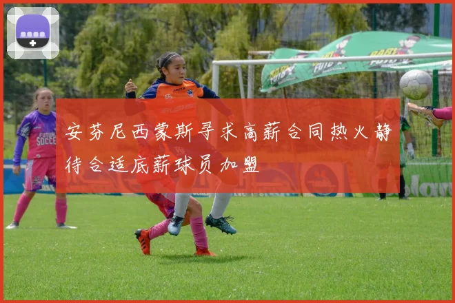 安芬尼西蒙斯寻求高薪合同热火静待合适底薪球员加盟